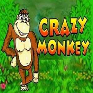 Ігровий автомат crazy monkey