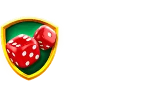NetGame Logo